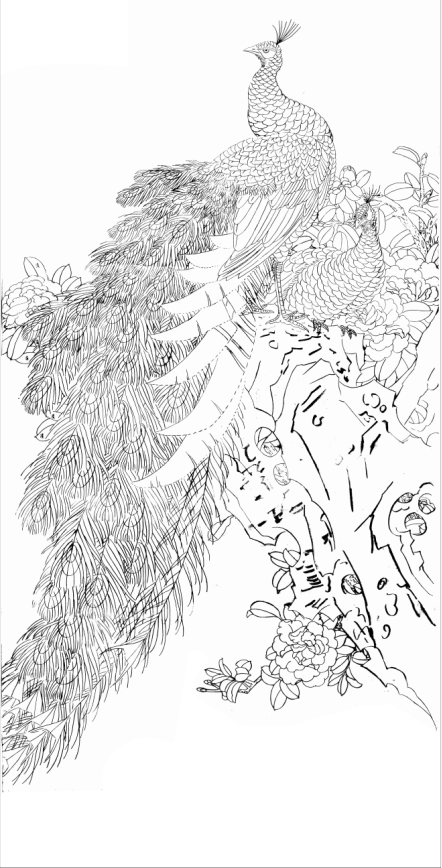 工笔画底稿花鸟四尺六尺白孔雀竖幅白描4#打印稿学习临摹
