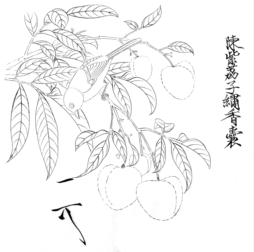 工笔画底稿传宋徽宗赵佶荔枝山雀图白描156#打印稿宣纸稿本店拷贝