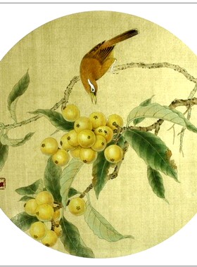 工笔画底稿花鸟小品  画眉枇杷白描30#打印稿毛笔勾线宣纸稿