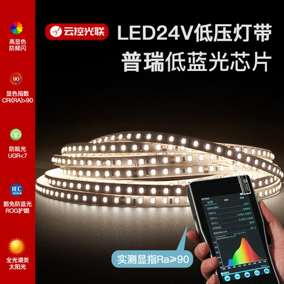 正装普瑞24V低压LED灯带