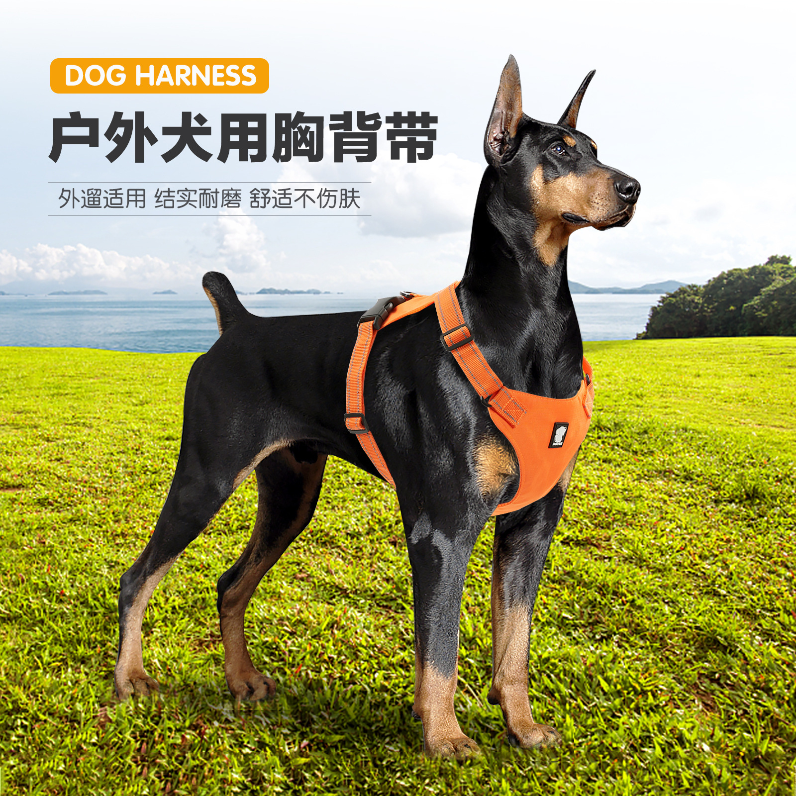 罗威那大狗背带背心式牵引绳防爆冲项圈中大型犬狗链子马犬卡斯罗