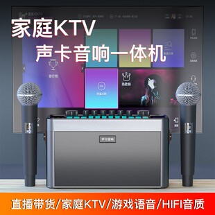 赛柏瑞斯家庭ktv直播声卡音响一体机无线蓝牙音箱k歌专业唱歌音响