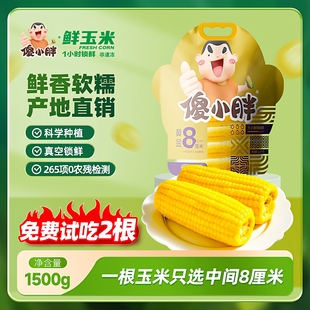 傻小胖1小时锁鲜黄糯玉米黄金八厘米新鲜现摘真空黏玉米非即食