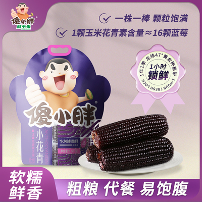 傻小胖鲜食玉米小花青玉米真空