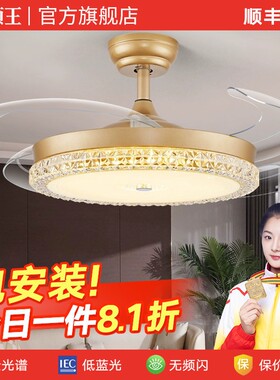 领王52寸大风力客厅风扇灯简约现
