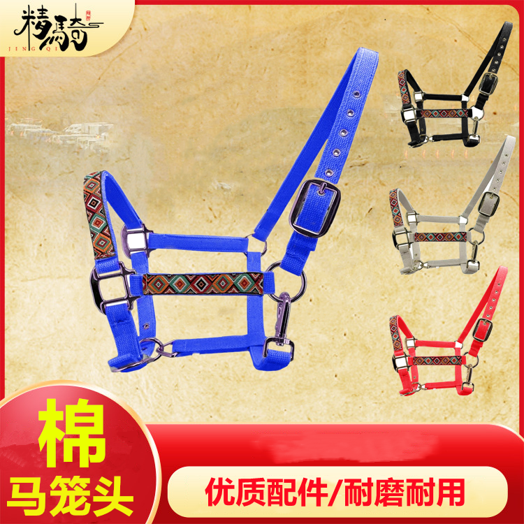 马笼头马具龙头大小马术用品牵马