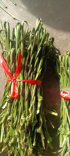 纯天然棕叶绳子挂腊肉吊鱼干绳包粽子绳山棕叶捆扎绳编织包装绑绳