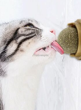 Natural Catnip Cat Wall Stick-on Ball Toy Scratchers ats Hea