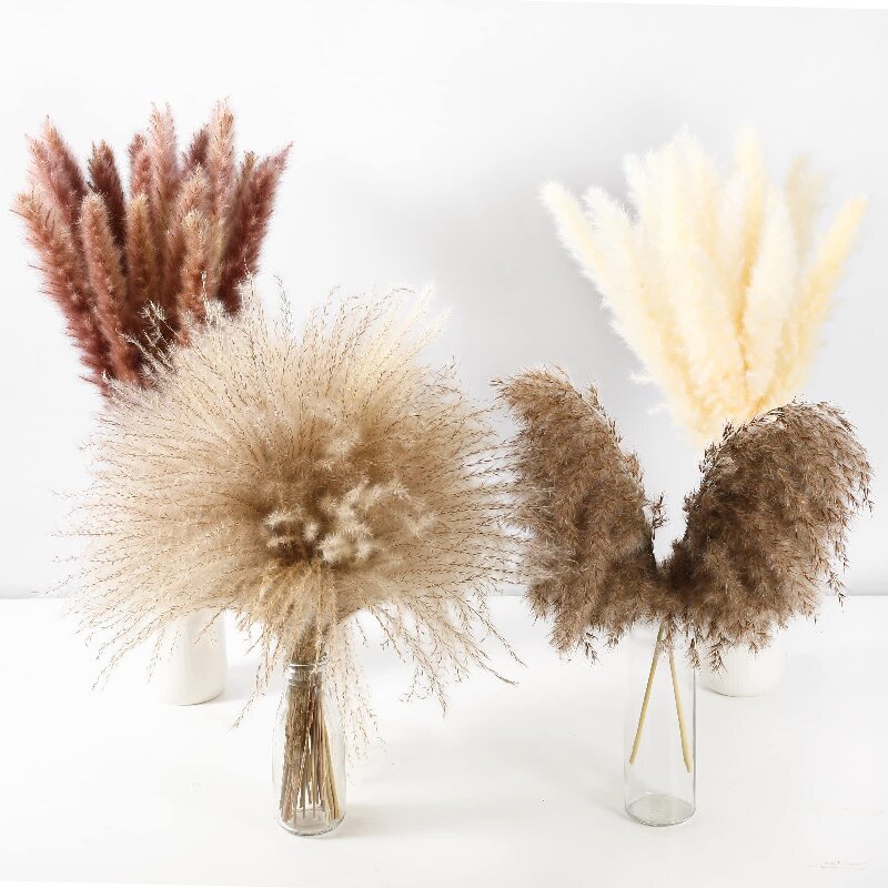 20pcs Real Reed Dried Flowers Bouquet Pampas Grass Fleurs Se