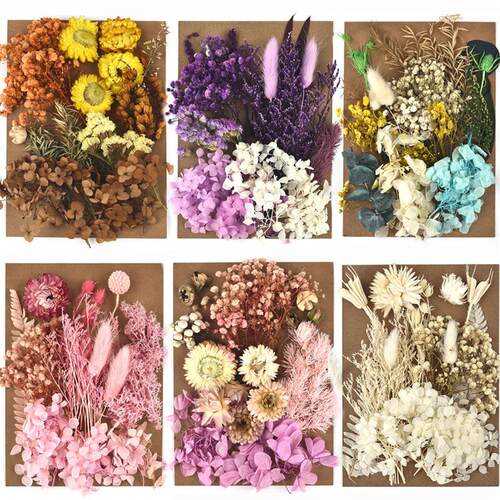 DIY Real Dried Flower Forever Flower Making Natural Flower F