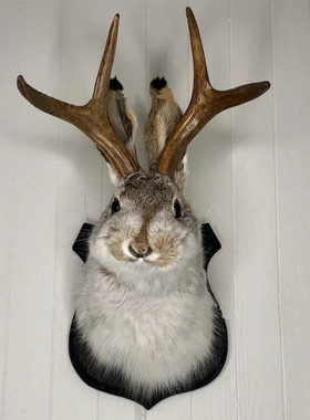 Antlers Rabbit Head Statue Home Decoration 3D Abstract Sculp
