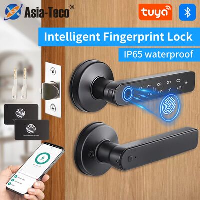 M5 Tuya BLE Fingerprint Door Lock Smart Digital Electronic L