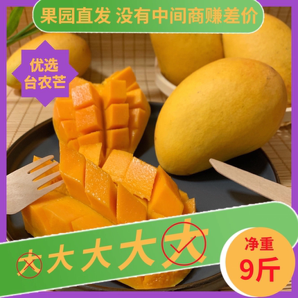 又香又甜 9斤大台农芒广西百色芒果一级果园直发送礼新鲜应季水果