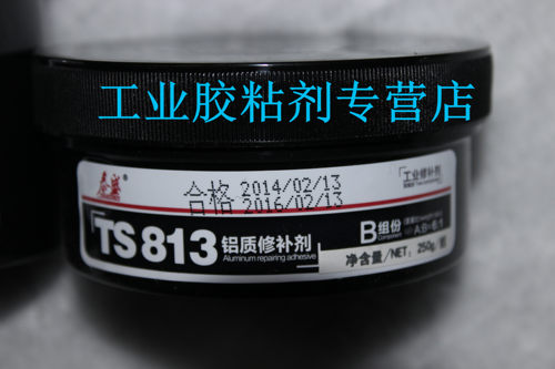 813铝质修补剂，泰盛铝质修补剂，泰盛TS813修补泥，铝质填补剂
