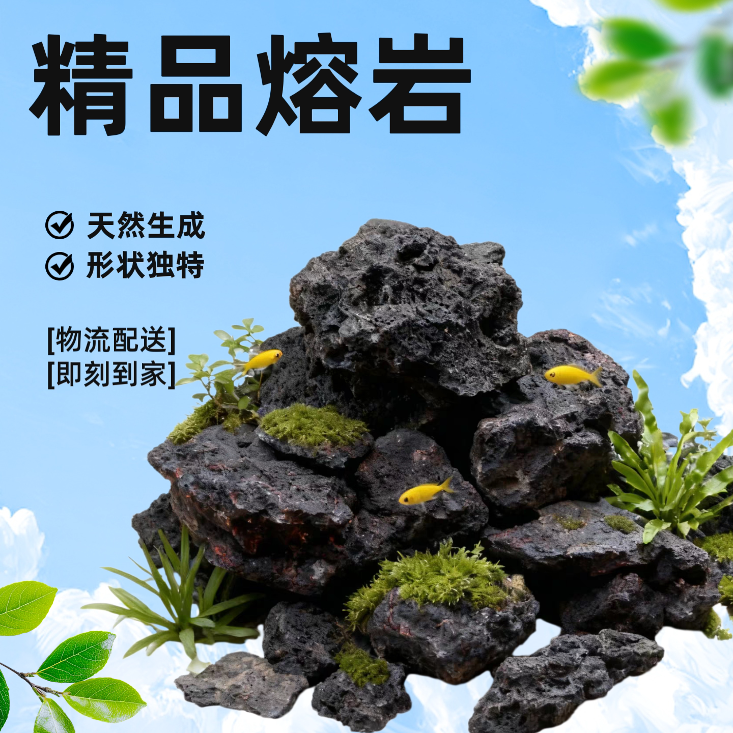 熔岩石鱼缸造景水草缸天然精选造景装饰云山石火山石素材净水过滤