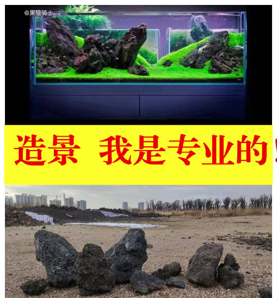 草缸造景搭配 专业搭配 精选山水石火山石纯石头景黑猫粉丝