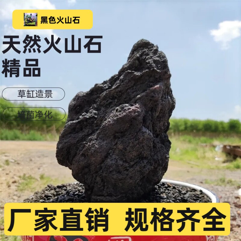 黑色火山石草缸造景水族
