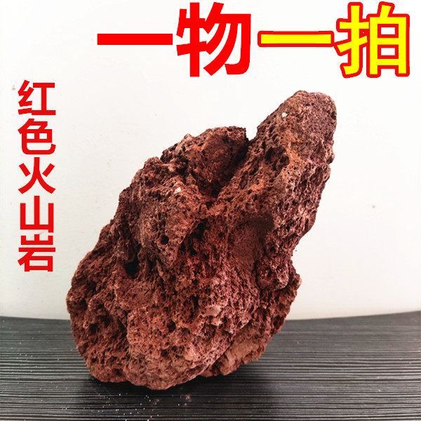 一物一图 红色火山石水族造景火山岩大块水族过滤 山水石草缸造景