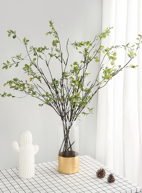 碧洛蒂斯仿真绿植藤蔓客厅餐桌