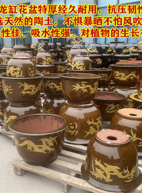 龙缸花盆铁树专用盆特大号陶瓷大缸盆景多肉植物紫砂种菜粗陶花盆