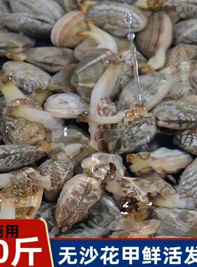 10斤装鲜活无沙花甲顺丰包邮