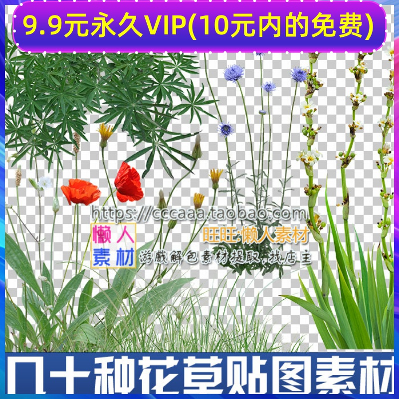 高清写实花草植物灌木草原植物贴图素材 psd大图 游戏美术素材