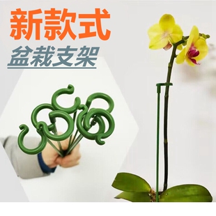 园艺支撑杆花架固定器蝴蝶兰花支架固定花神器植物防倒伏花杆造型