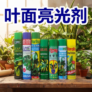 护花使者植物叶面除尘防尘光亮剂增油亮喷剂金钱树保康光叶剂肥料