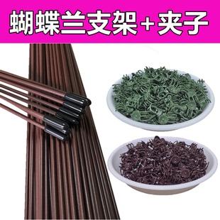 蝴蝶兰支架插杆专用花架兰花夹子造型铁丝固定支持杆铝线花卉架子