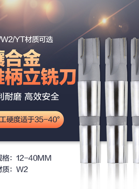 镶硬质合金W2锥柄立铣刀斜刃YGW2YT非标定制12-40mm焊接钨钢铣刀