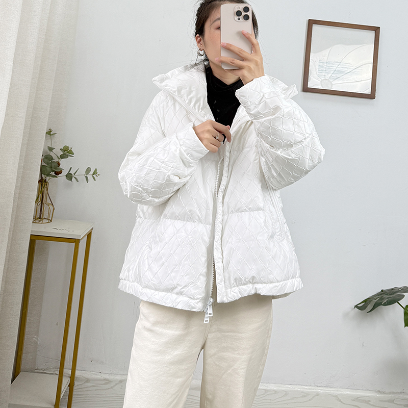 90白鸭绒短款立领羽绒服女
