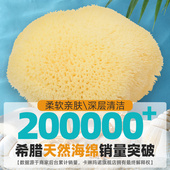 直播专用链接希腊进口天然海绵婴儿洗澡海绵宝宝洗脸扑儿童搓澡