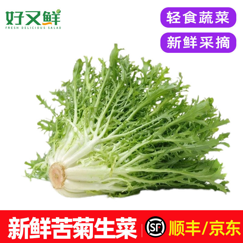 苦菊生菜新鲜苦苣狗牙菜九芽苦细叶轻食西餐沙拉食材即食蔬菜包邮