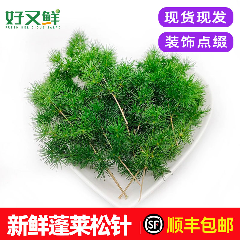 新鲜蓬莱松针蛋糕烘培装饰草包邮