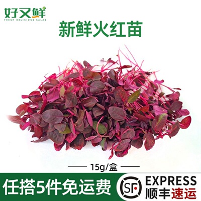 新鲜火红苗西餐摆盘装饰点缀花草