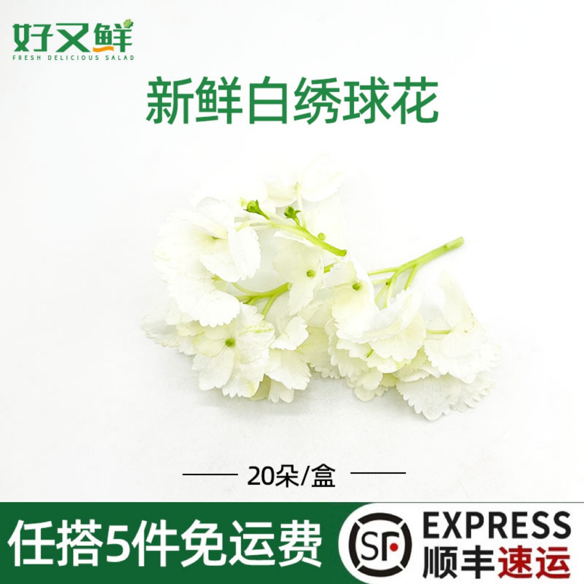 白色绣球花朵西餐蛋糕摆盘装饰花