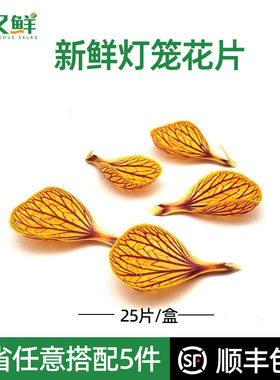新鲜灯笼花瓣西餐摆盘蛋糕装饰花
