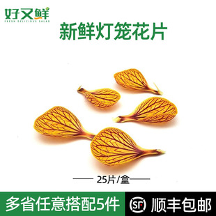 新鲜灯笼花片金玲花风铃花瓣西餐酒店摆盘蛋糕装饰点缀鲜花草25片