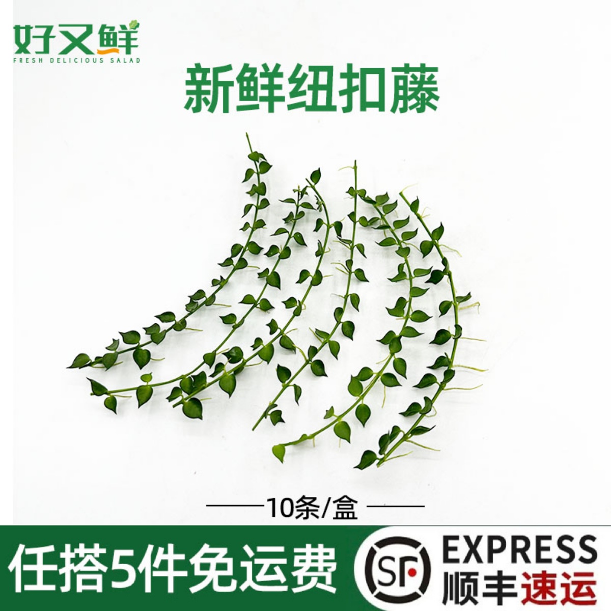 新鲜纽扣藤日料蛋糕装饰点缀花草