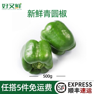 新鲜青圆椒柿子椒灯笼椒农家种植绿彩椒太空椒彩青椒炒食蔬菜不辣