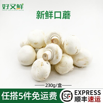 新鲜口蘑火锅煲汤炒菜烧烤食材