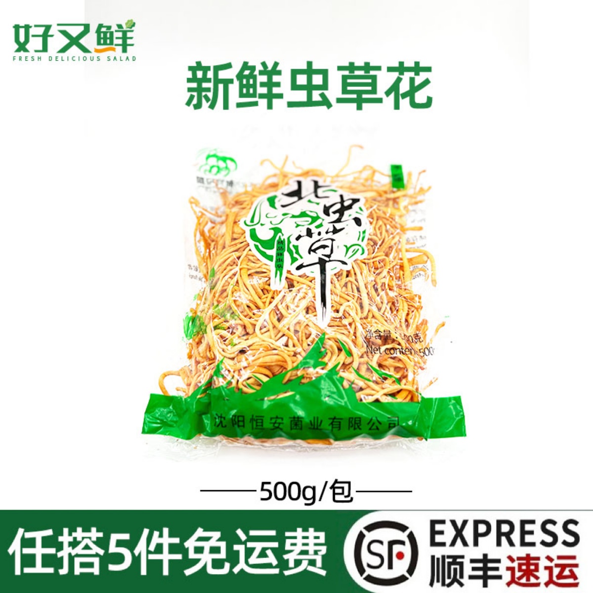 新鲜金虫草酒楼食用菌菇煲汤食材