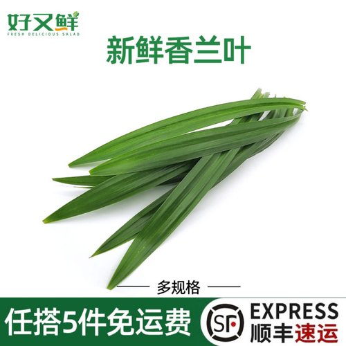 新鲜香兰叶蛋糕烘培千层糕摆盘叶