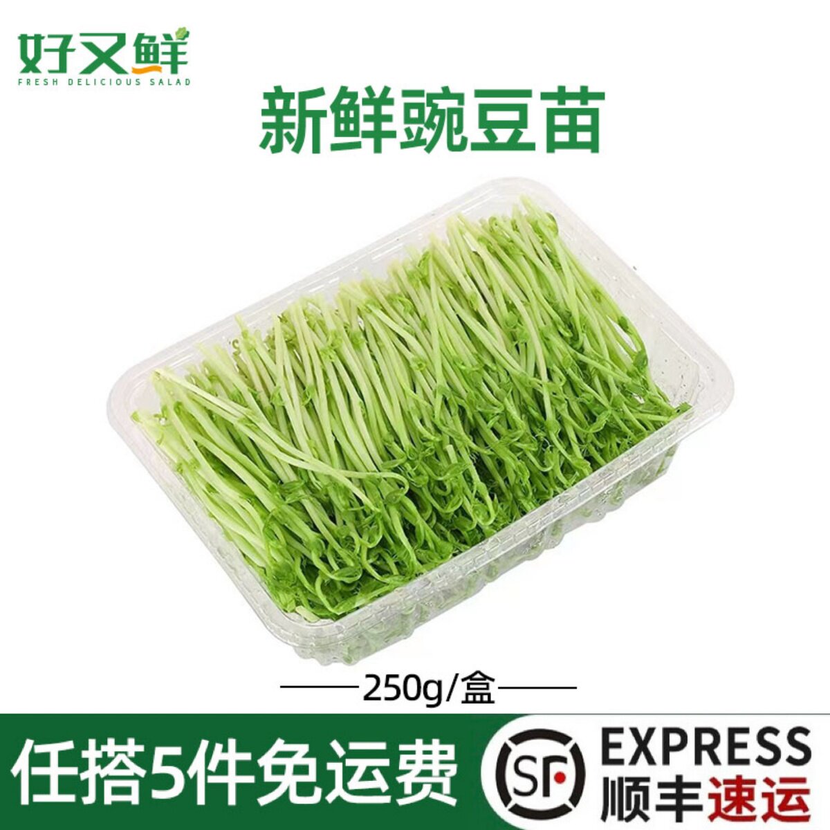 新鲜豌豆苗上汤蔬菜西餐沙拉食材