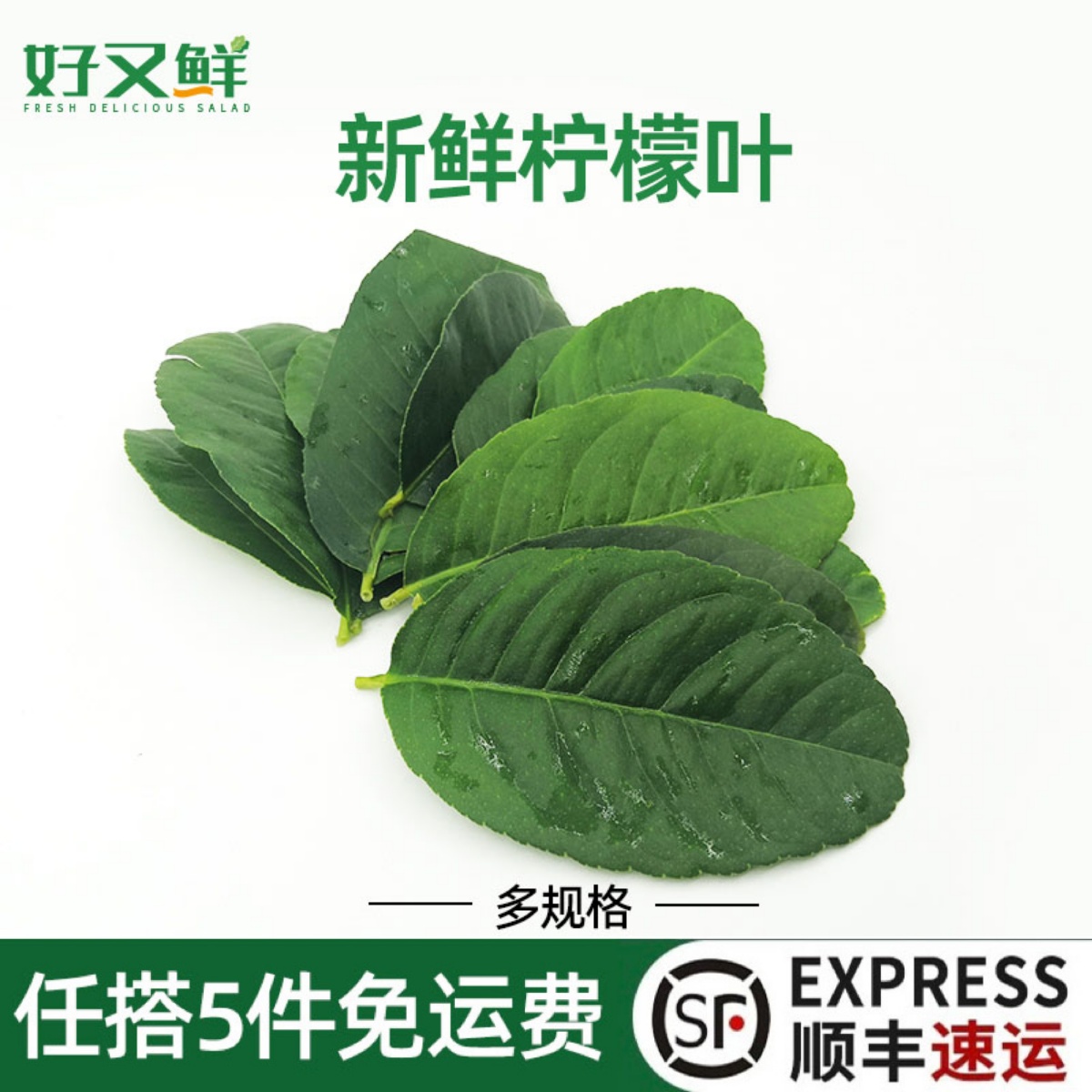 新鲜柠檬叶香水柠檬纯叶子鱼生切丝饮品配料泰国冬阴功汤调味食材