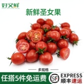 新鲜圣女果小番茄樱桃酸甜小西红柿即食健身西餐食材孕妇水果沙拉