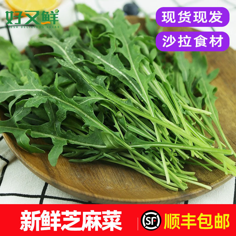 新鲜芝麻菜火箭菜西餐沙拉菜包邮