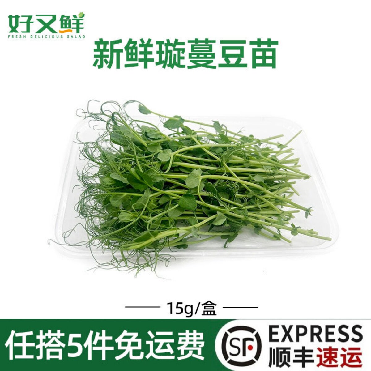 新鲜璇蔓豆苗龙须苗西餐摆盘沙拉素食豌豆芽苗蛋糕烘培用装饰点缀