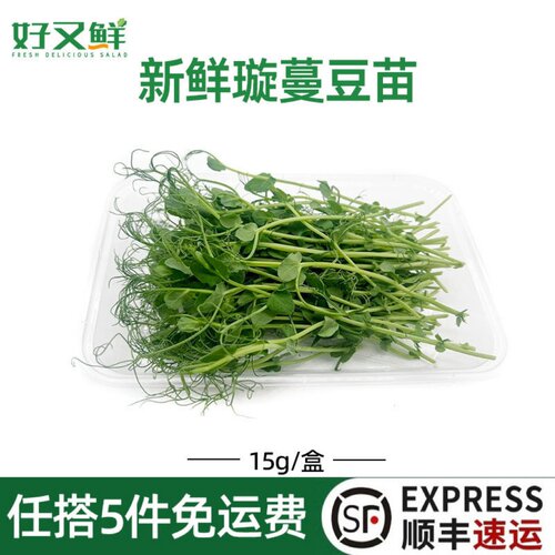 新鲜璇蔓豆苗西餐摆盘装饰鲜苗芽