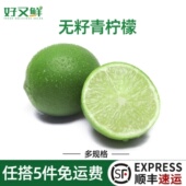 新鲜无籽青柠檬海南柠檬酸爽多汁水果茶调味饮料泡水奶茶店用食材